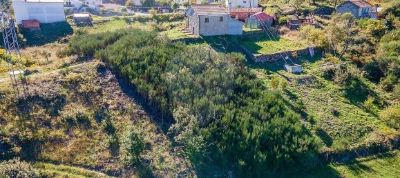 Studio in Tondela, Portugal, Nr. 177401 16