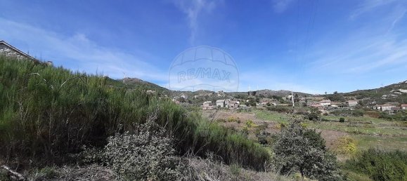 Studio in Tondela, Portugal, Nr. 177401 11