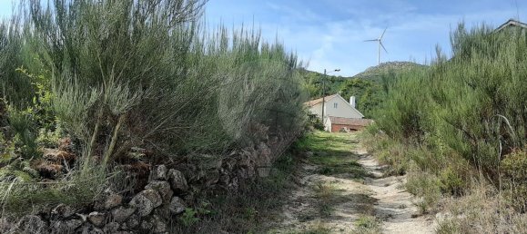 Studio in Tondela, Portugal, Nr. 177401 9