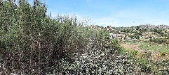 Studio in Tondela, Portugal, Nr. 177401 8