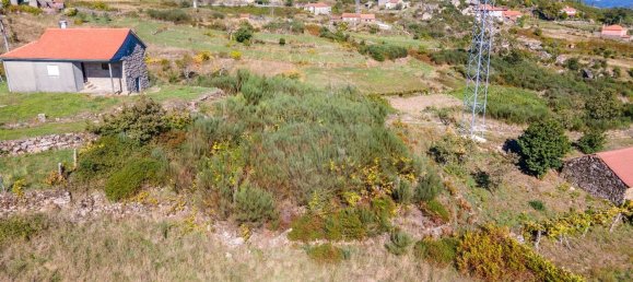 Studio in Tondela, Portugal, Nr. 177401 17