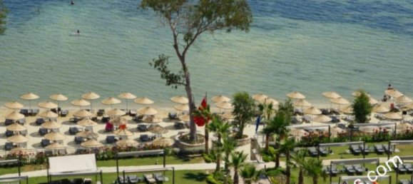 392 rooms Hotel in Bodrum, Turkey No. 1016 9