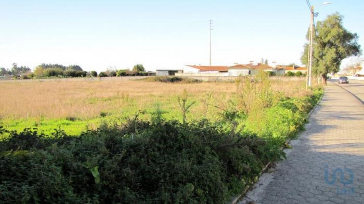  Land in Aveiro, Portugal No. 2230
