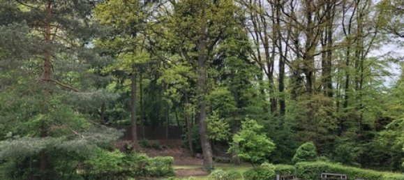 2 bedrooms Apartment in Pforzheim, Germany No. 74368 14