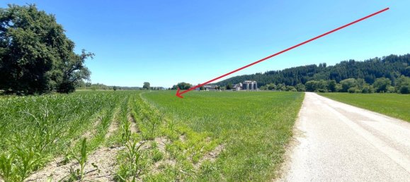 3540m² Warehouse in Neukirchen an der Vockla, Austria No. 145068 14