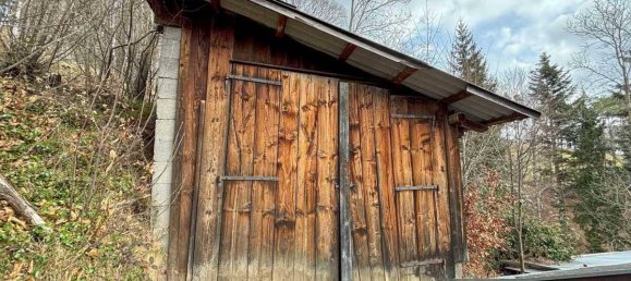 4-Zimmer Haus in Lichtenegg, Austria, Nr. 130935 16