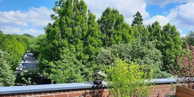 2-Zimmer Penthouse in Hamburg, Germany, Nr. 19305