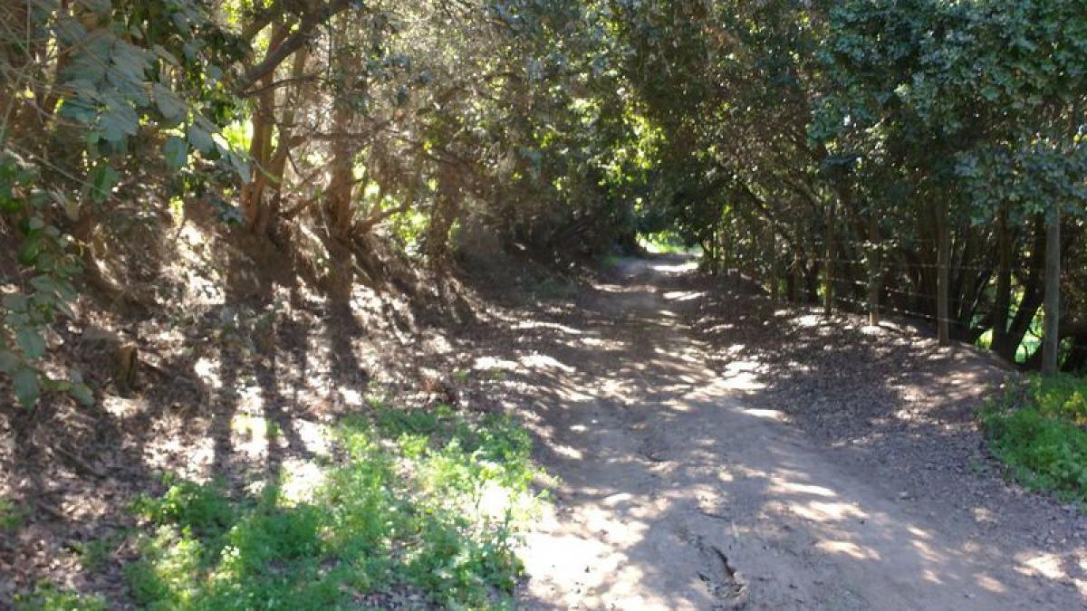  Land in Valparaiso, Chile No. 1171