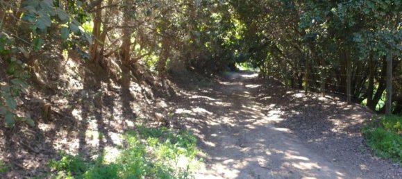  Land in Valparaiso, Chile No. 1171 2