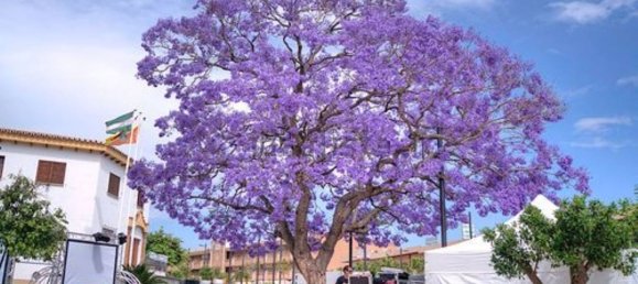 Пентхаус с 1 спальней в Бенальмадена, Испания № 99136 9