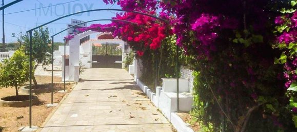 9 غرف نوم منزل في Vila do Bispo, Portugal رقم 186721 9