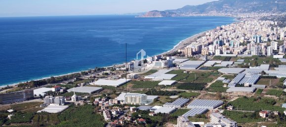 Apartment 1+1 in Kargicak, Turkey No. 10628 22