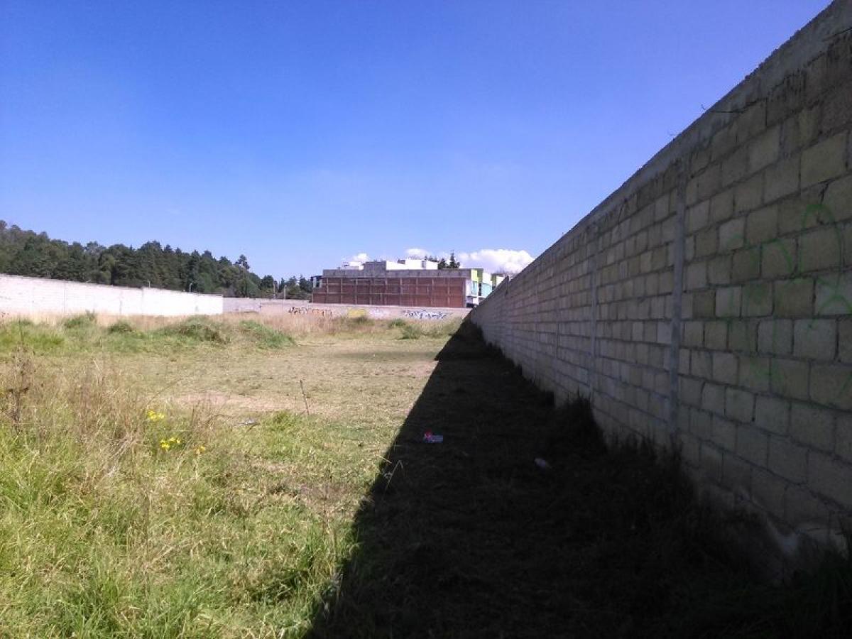 Земельный участок в Мехико, Мексика № 203554