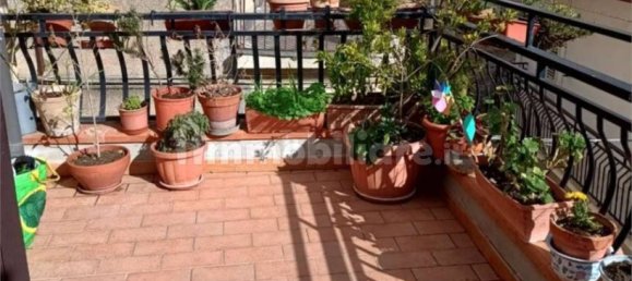 2 bedrooms Apartment in Vizzini, Italy No. 291346 11