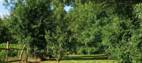 3 bedrooms House in Charente-Maritime, France No. 332451 20