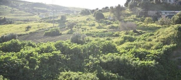  قطعة أرض في Casares, Spain 22440متر مربع رقم 168382 33