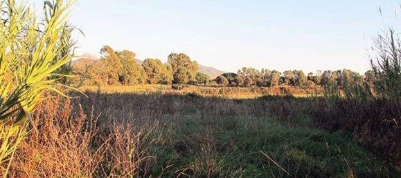 Terreno en Fondi, Italy 21000 m² No. 198907 2