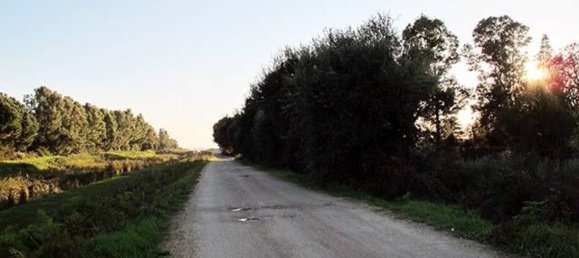 Terreno en Fondi, Italy 21000 m² No. 198907 7