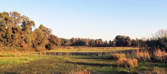 Terreno en Fondi, Italy 21000 m² No. 198907 3