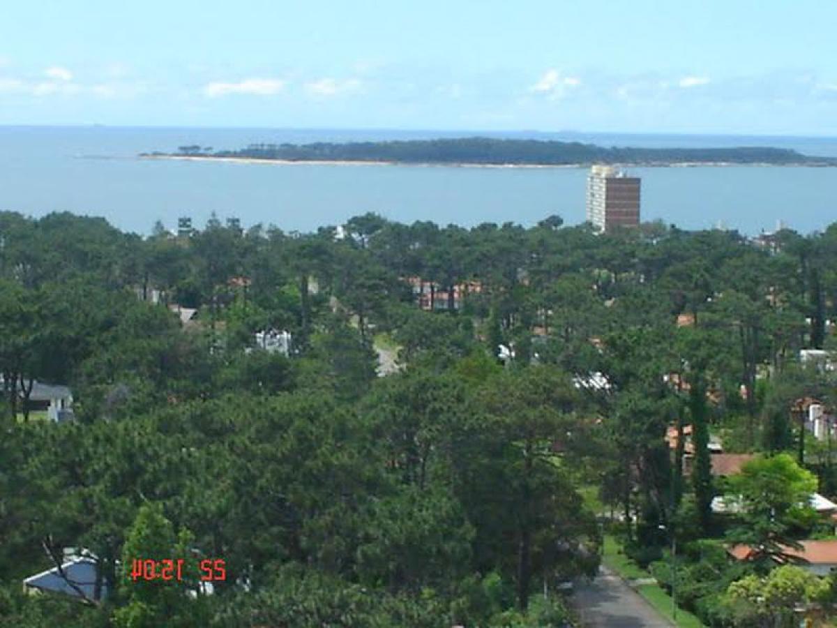 3 bedrooms Apartment in Maldonado, Uruguay No. 11841