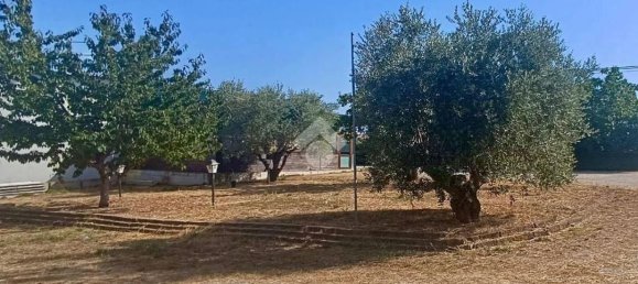 163m² Commercial property in Tortoreto, Italy No. 259065 4