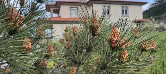 4 Schlafzimmer Haus in Lamego, Portugal, Nr. 223572 4