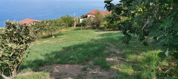 Terreno em Longobardi, Italy 1750 m² N.º 254664 9