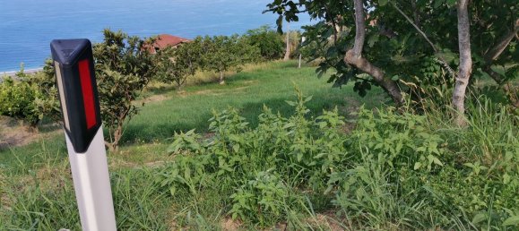 Terreno em Longobardi, Italy 1750 m² N.º 254664 4