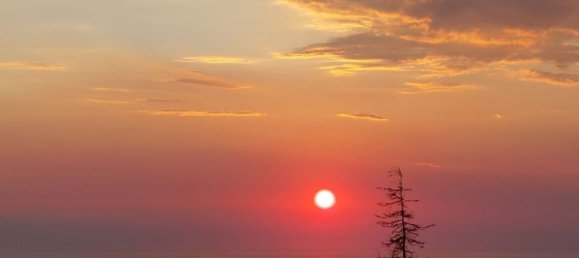 Terreno em Longobardi, Italy 1750 m² N.º 254664 14