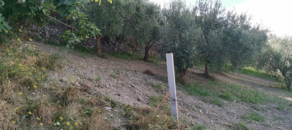 Terreno em Longobardi, Italy 1750 m² N.º 254664 12