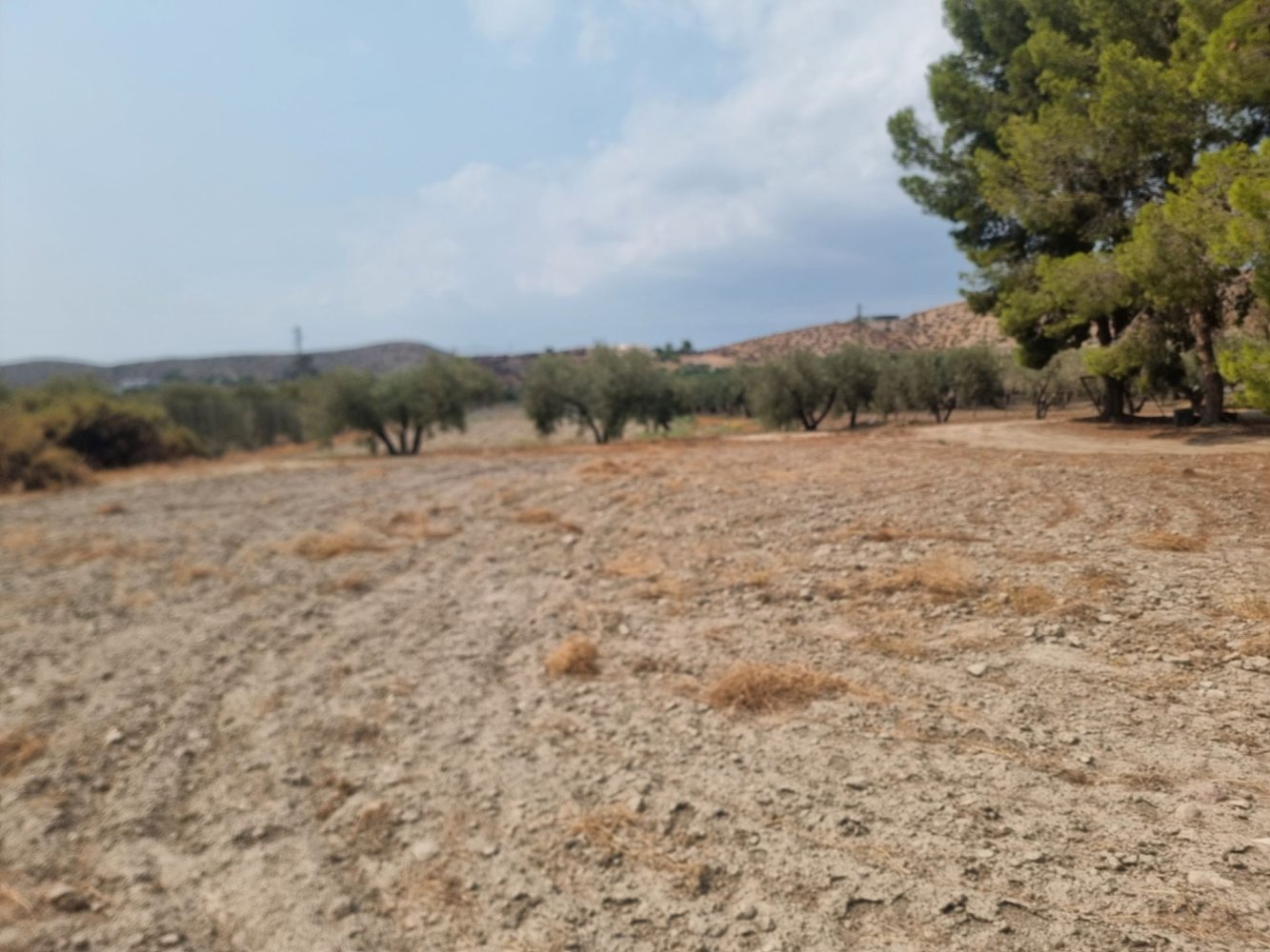 55000m² Land in Almeria, Spain No. 280084