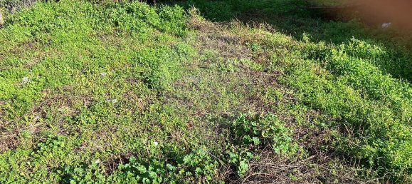 Casa de 3 dormitorios en Covilha, Portugal No. 32772 2