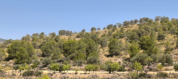  Land in Monovar, Spain No. 189107 2