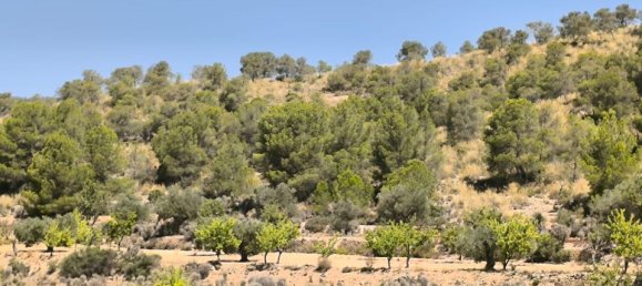  Land in Monovar, Spain No. 189107 4