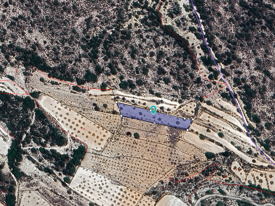  Land in Monovar, Spain No. 189107