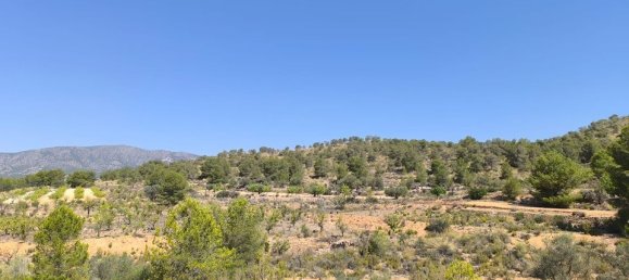 Land in Monovar, Spain No. 189107 5