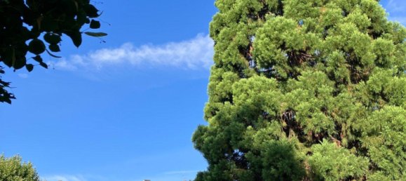 1 غرف نوم منزل ذو طابقين في Stuttgart, Germany رقم 217656 3