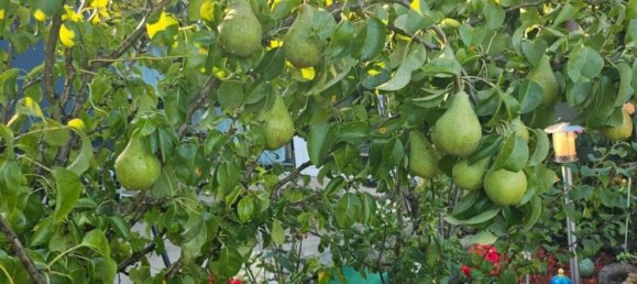  Land in Wuppertal, Germany No. 301878 6