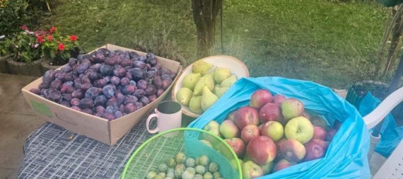  Land in Wuppertal, Germany No. 301878 8