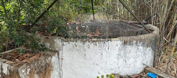 4 غرف نوم منزل في Sao Bras de Alportel, Portugal رقم 280866 12