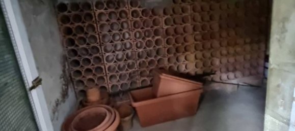 7 rooms Villa in Viareggio, Italy No. 39692 6