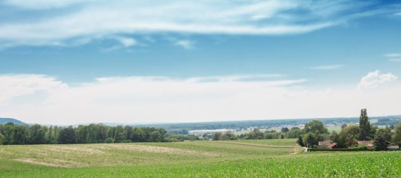 Terreno en Leobendorf, Austria No. 124645 4