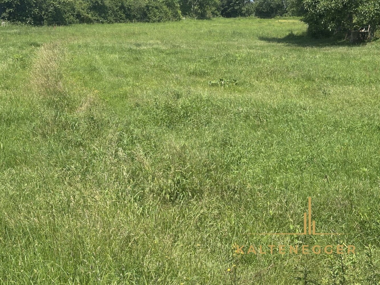 Земельный участок в Терниц, Австрия № 137218