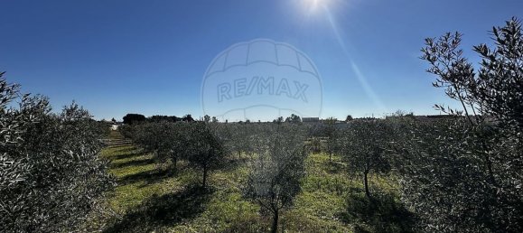 Studio in Marinhais, Portugal, Nr. 188657 10