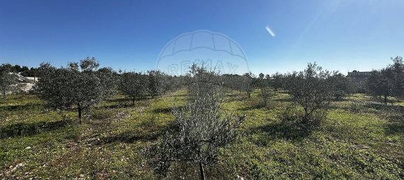 Studio in Marinhais, Portugal, Nr. 188657 8