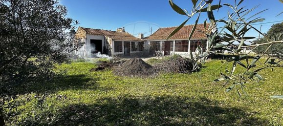 Studio in Marinhais, Portugal, Nr. 188657 9