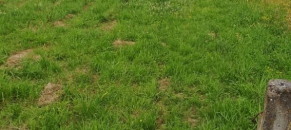 Terreno en León, Spain No. 21142 3