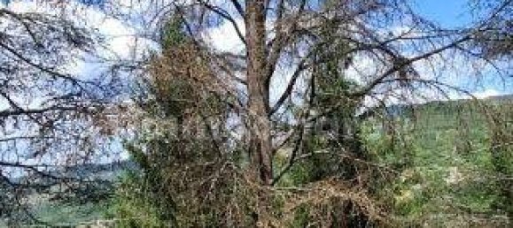 2 bedrooms House in San Benedetto Val di Sambro, Italy No. 262006 48