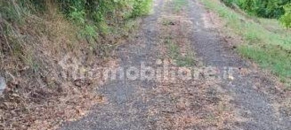 2 bedrooms House in San Benedetto Val di Sambro, Italy No. 262006 4