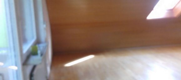 1 غرف نوم شقة في Stuttgart, Germany رقم 290673 4